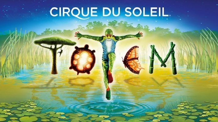 Spectacle Totem du Cirque du Soleil